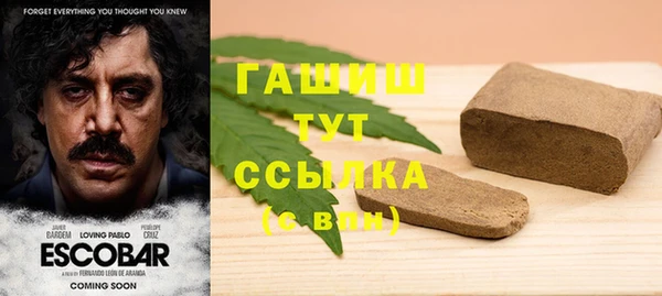 эйфоретик Каменка