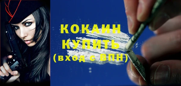 эйфоретик Каменка