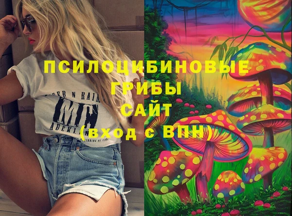 эйфоретик Каменка
