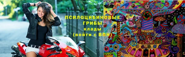 эйфоретик Каменка