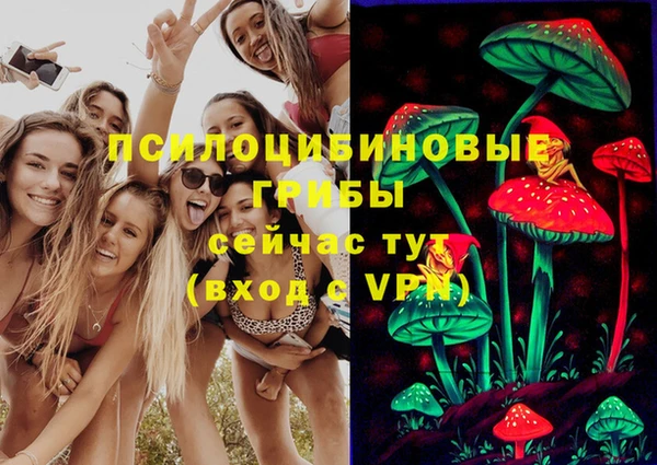 эйфоретик Каменка
