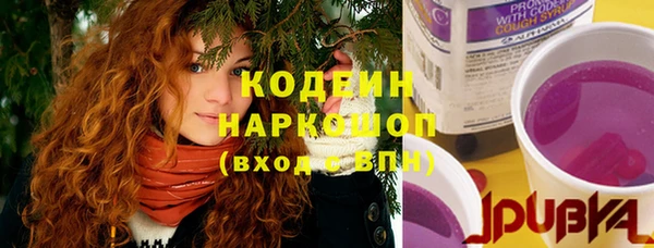 эйфоретик Каменка