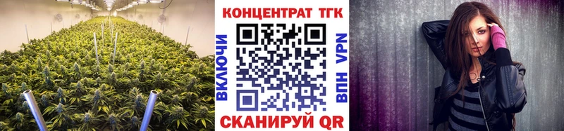 ТГК концентрат  Купить где  Балтийск 